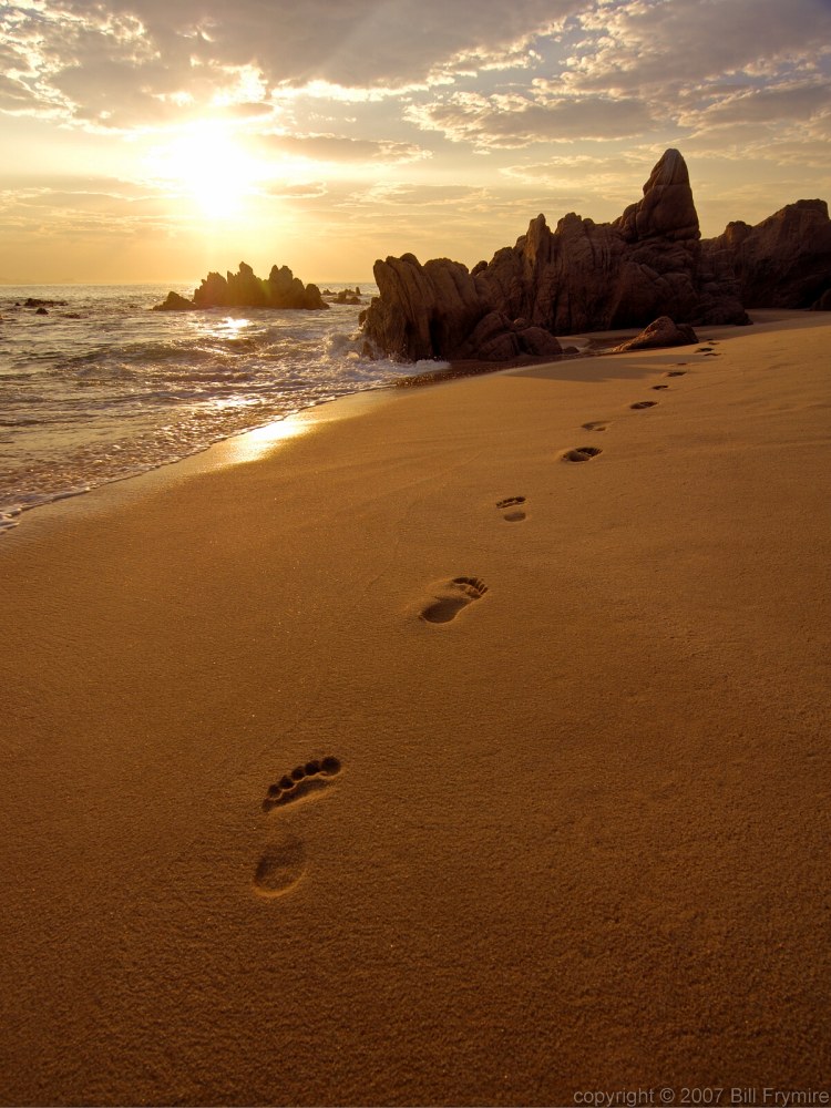 Footprints in the Sand