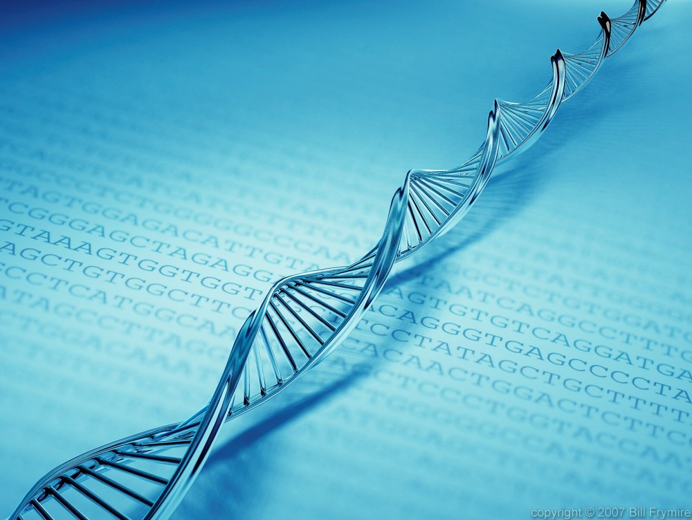 This DNA double helix was created using 3D Max. The helix and the photograph 