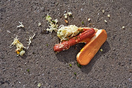 hotdog-pavement-spilled-434