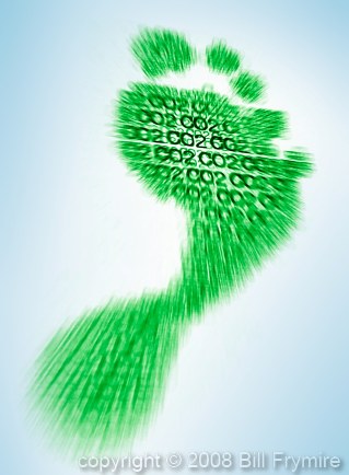 green-carbon-footprint-434