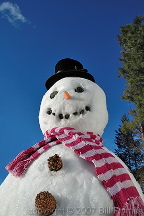 snowman-blue-sky-bottom.jpg