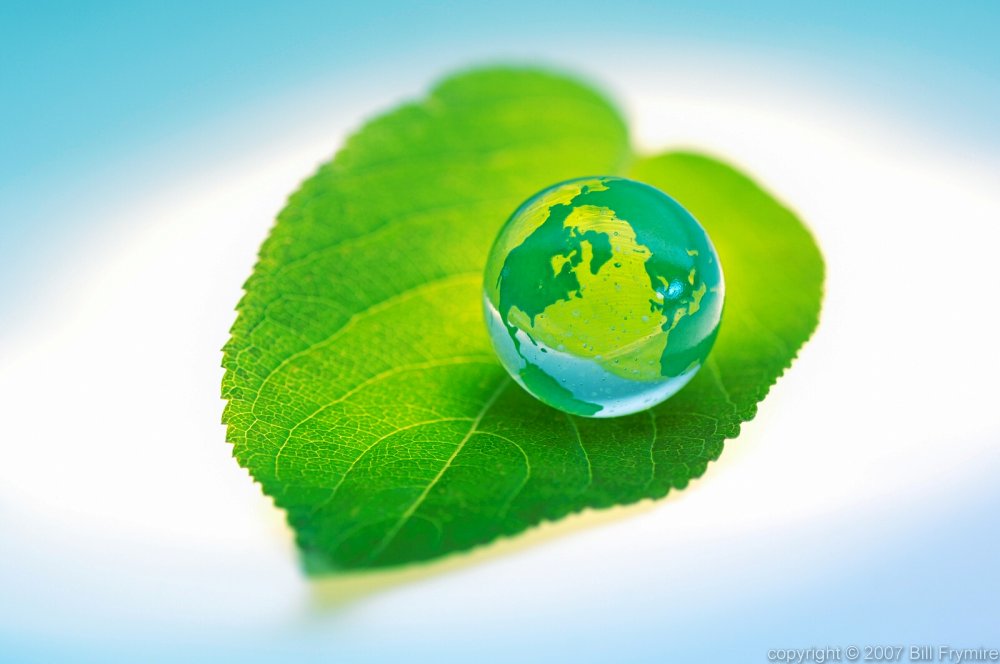 …the idea of “greening” our world has many individuals and companies trying …the idea of “greening” our world has many individuals and companies trying