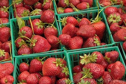 organic-strawberries-basket-fruit.jpg