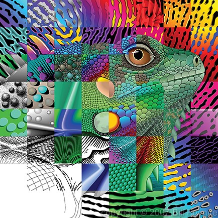 colorful-creative-iguana.jpg