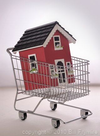 house-hunting-shopping-new-house.jpg