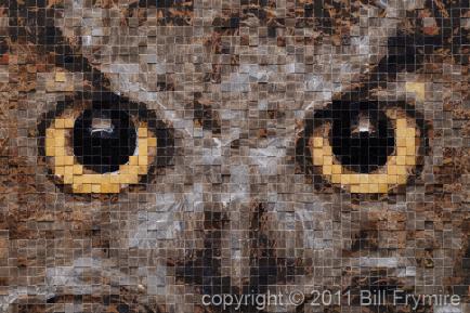 owl-eyes-mosaic-434.jpg