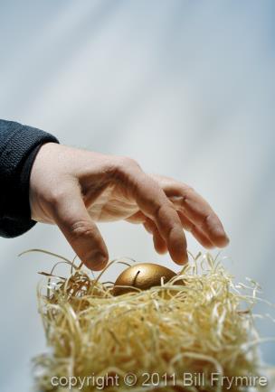 steal-nest-egg-hand-434