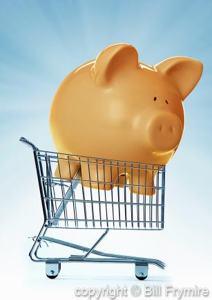 frugal-piggy-bank-big-savings-shop-434.jpg