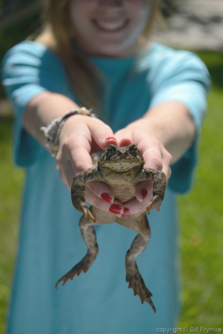 toad being held by child