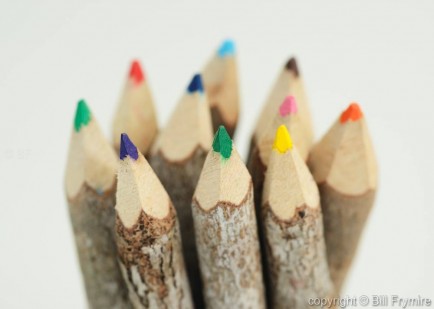 wood crayon bunch