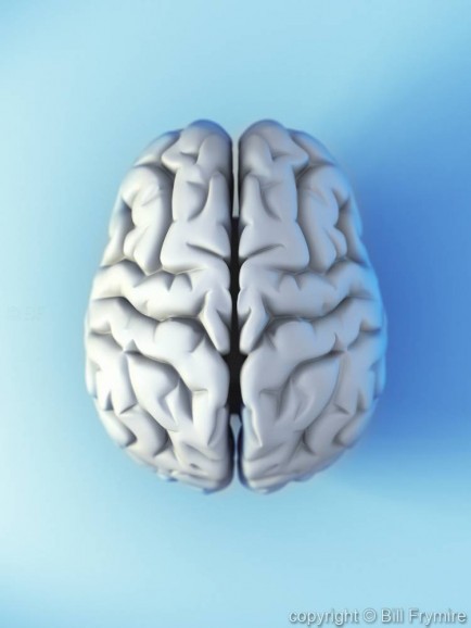 the human brain as grey matter