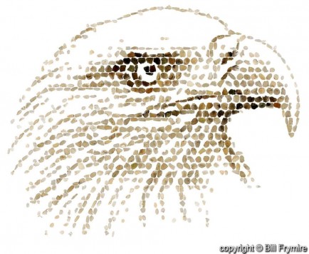 digital render of eagle mosaic made out of agate stones