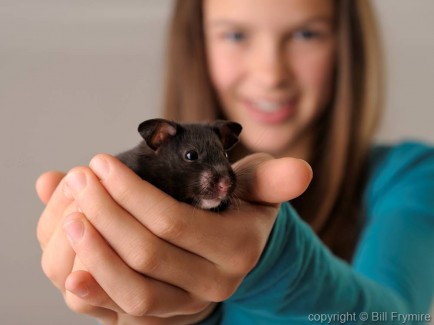 young girl holding a pet hamster