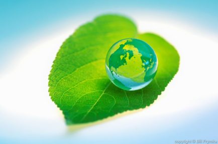 marble globe on green leaf