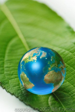 Earth Marble on Green Leaf