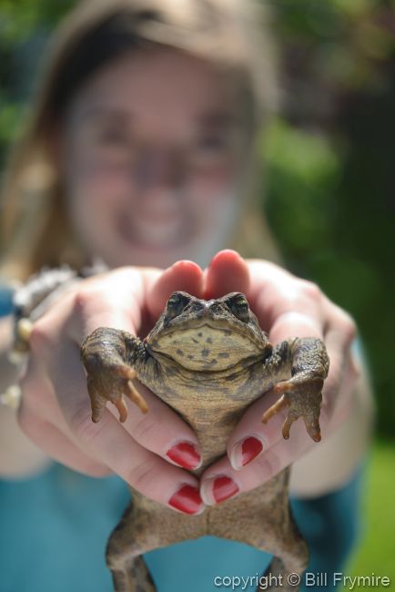 smiling girl holding toad