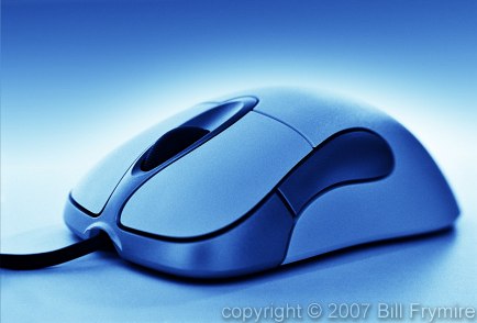 computer mouse