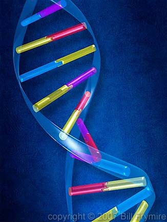 double helix DNA strand