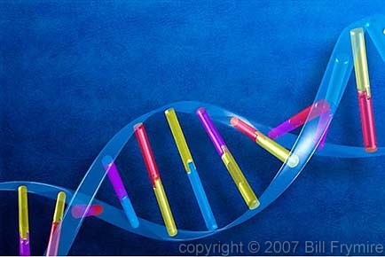 double helix DNA strand