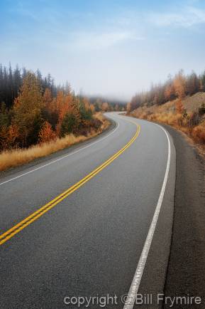 The Road Ahead