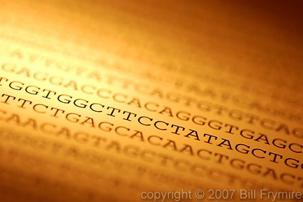 DNA code