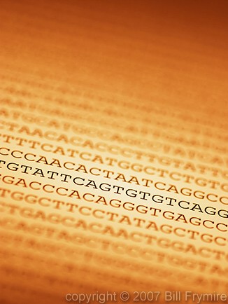 DNA code