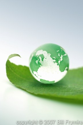 Marble globe on green leaf