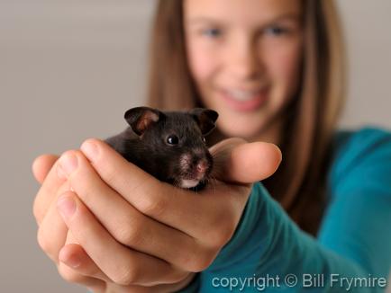 girl holding pet hamster