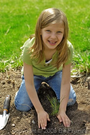 young girl planting a pine tree