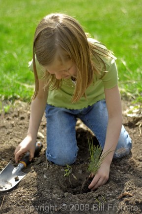 young girl planting a pine tree