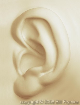 Human Ear 