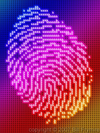 digital fingerprint