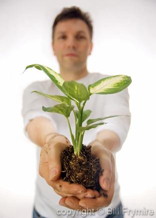 Man holding plant in hands