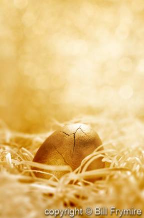 broken golden nest egg