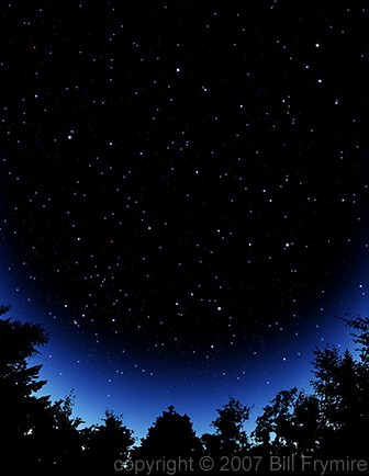 trees with starry sky