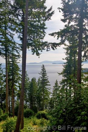 View of trees and ocean , Puget Sound
