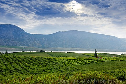 fruit orchard near Osoyoos