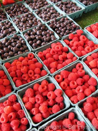 fresh organic berries on display