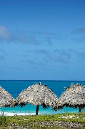 grass palapas on beach with sunny blue skys waters