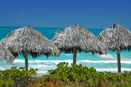 Grass palapas on the beach in front of ocean waves