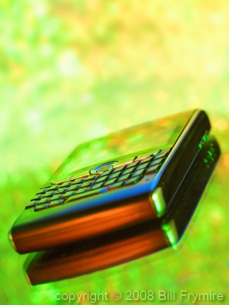 Blackberry on green background