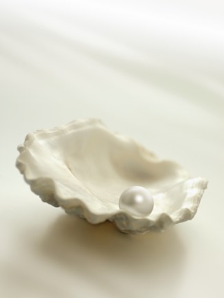 pearl in an oyster shell