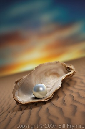 pearl in oyster shell