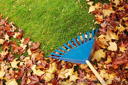 raking leaves