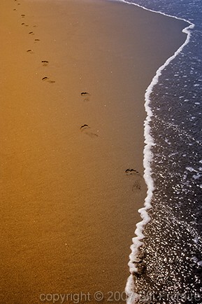 solo footprints along water edge