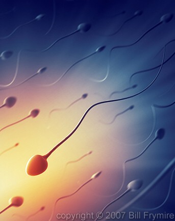 Human sperm going against the grain. copyright Bill Frymire April 2004
