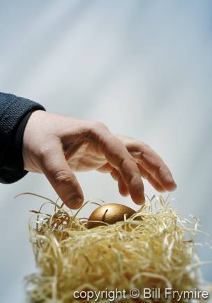 stealing golden nest egg