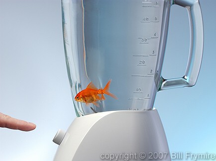 fish in a blender