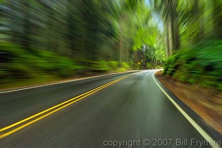 blurred view of road through forest
