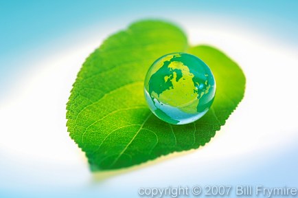 World globe on a green leaf